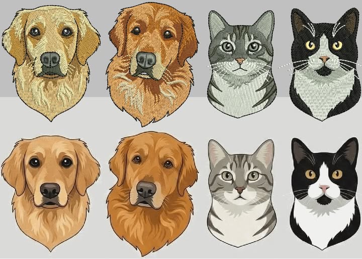Pets Embroidery